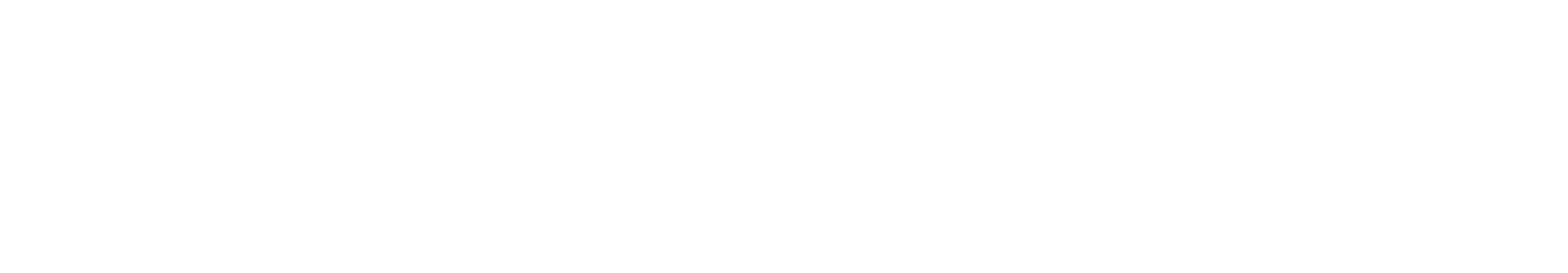 Scaneca_Logo