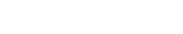 AI NATION Logo