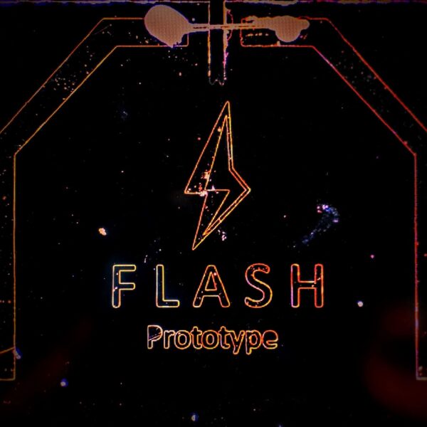 Einzelner Flashchip Prototyp